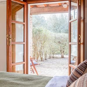 Habitación con Cama King